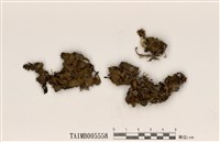 藏品(霜地卷)的圖片